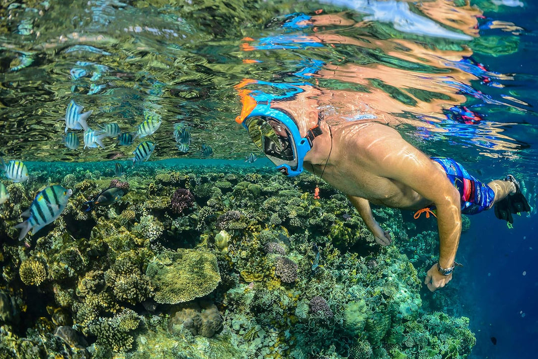 OCEAN REEF - Aria QR + Schnorchelmaske - Vollmaske mit Mundstück - Für eine bessere 180 Grad Unterwa