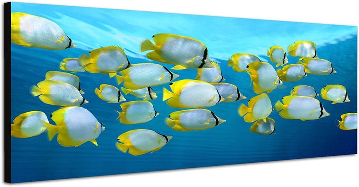 Paul Sinus Art Panoramabild auf Leinwand und Keilrahmen 150x50cm Karibik Meer Fischschwarm Unterwass