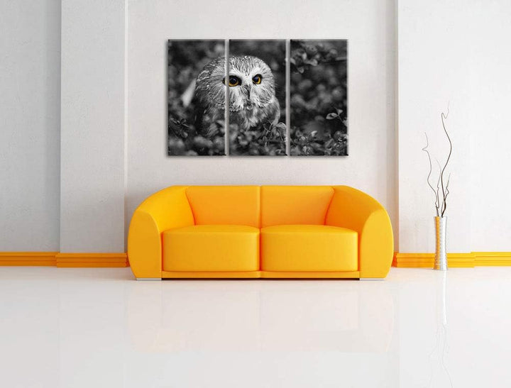 junger Kauz im Vogelbeerstrauch schwarz/weiss 3-Teiler Leinwandbild 120x80 Bild auf Leinwand, XXL ri