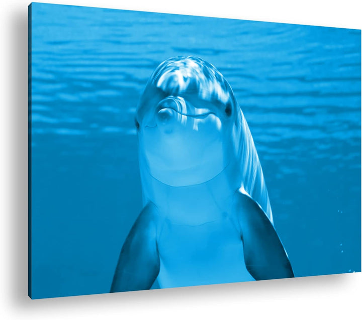 deyoli entzückender Delphin Format 80x60 Effekt: Monocrome Blau als Leinwandbild, Motiv fertig gerah