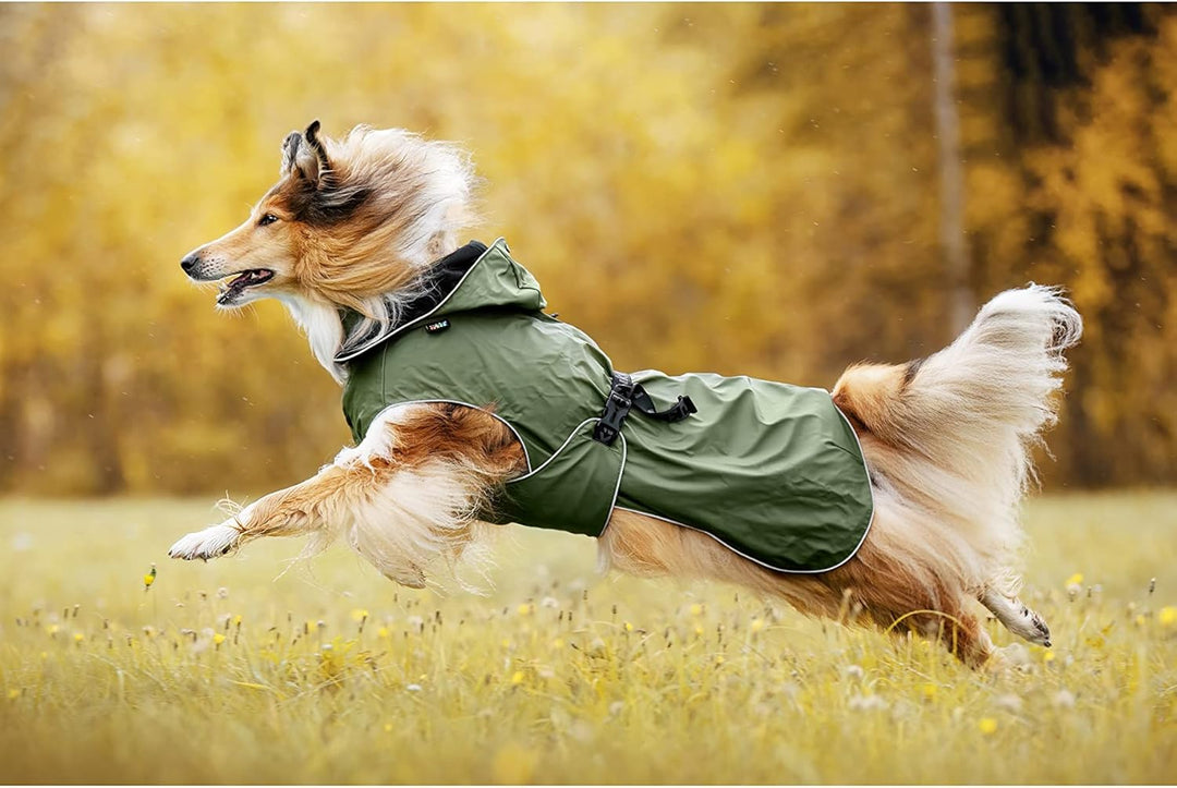 Rukka Pets STREAMY ECO Regenmantel für Hunde Dunkel Olivgrün 35 35 Dunkel Olivgrün, 35 Dunkel Olivgr