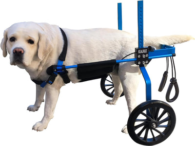 KAJILE Einstellbare 2 Räder Hunde-Rollstuhl, M-3 Grösse für behinderte Hund Hinterbeine Rehabilitati