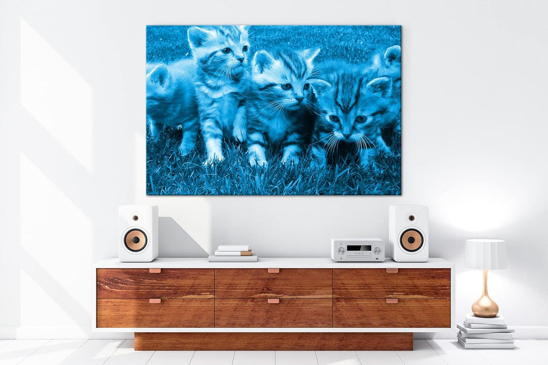 deyoli niedliche Katzenbabys auf der Wiese Format 120x80 Effekt: Monocrome Blau als Leinwandbild, Mo