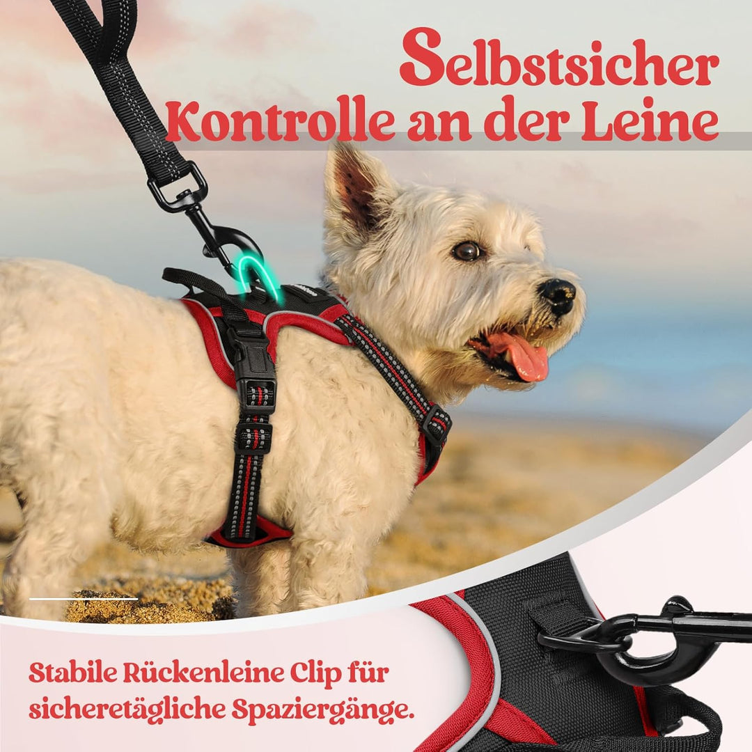 rabbitgoo Hundegeschirr Kleine Hunde, Anti Zug Geschirr mit Kontrolle, No Pull Verstellbar Hundegesc