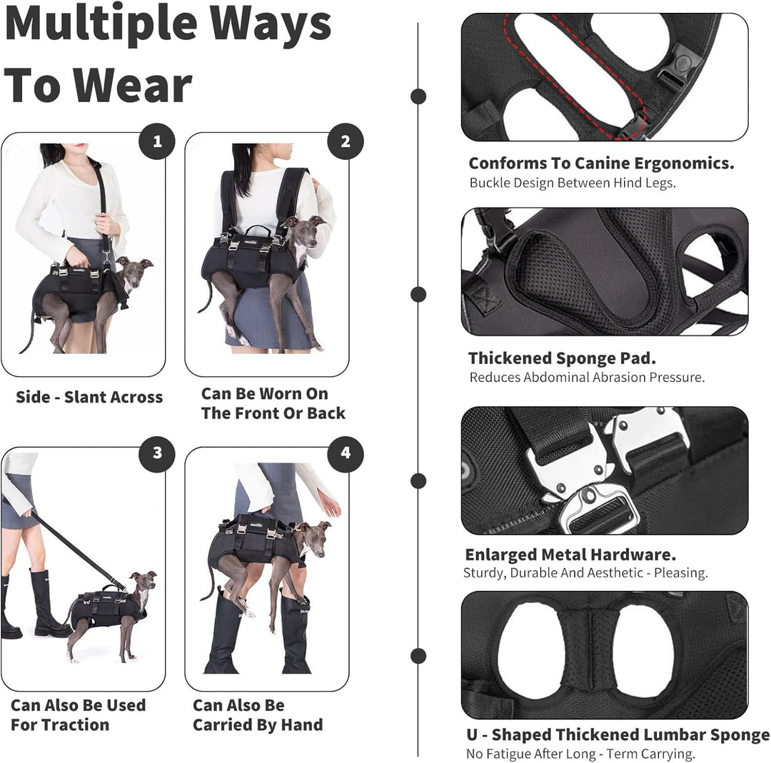 PETCUTE 4-in-1 Hunderucksack,Hundetasche für kleine Hunde,Einstellbar Hundegeschirr mit Abnehmbarem