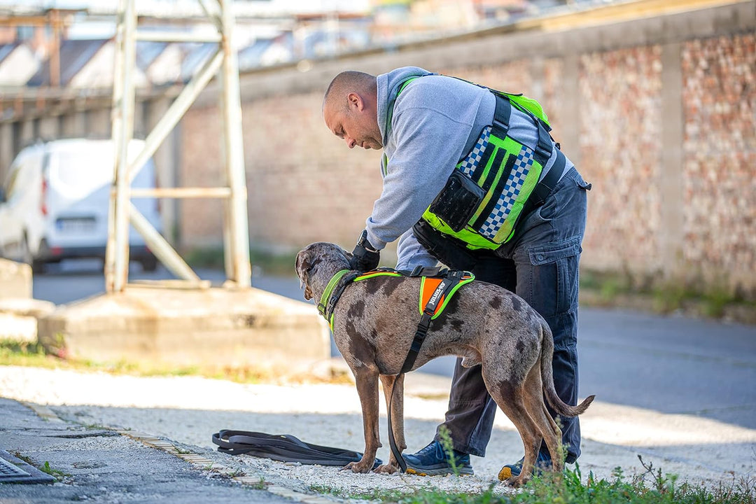 Julius-K9, 19MTR-XS-AMZ, Mantrailing & Outdoor Hundegeschirr, Grösse: XS, schwarz XS Schwarz, XS Sch