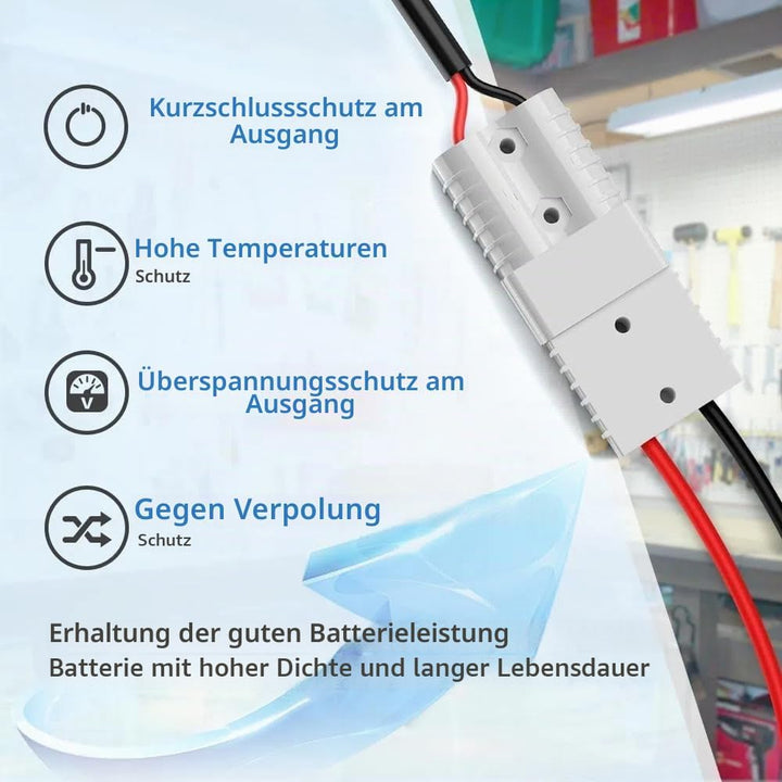 Redodo 14,6V 10A Lifepo4 Batterieladegerät für Lithium-Eisenphosphat-Batterien, unterstützt schnelle