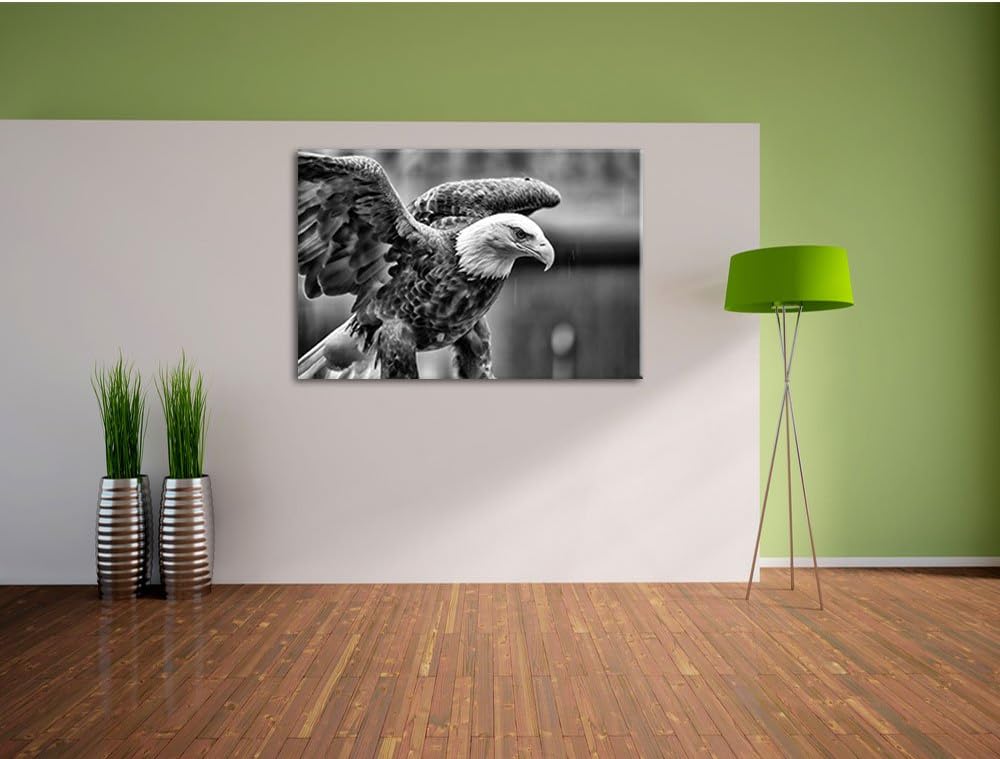Monocrome, Adler, Format: 100x70 auf Leinwand, XXL riesige Bilder fertig gerahmt mit Keilrahmen, Kun