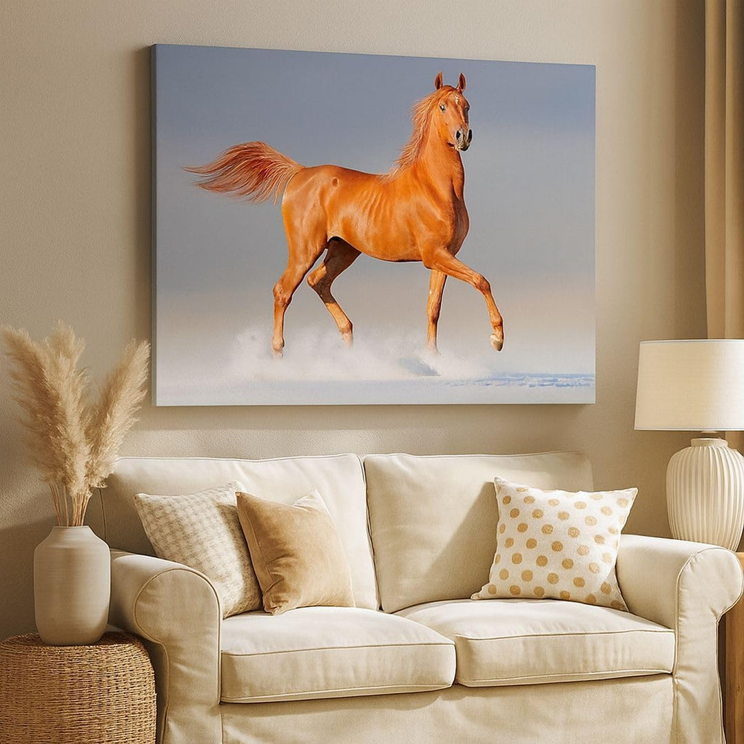 Bilder auf Leinwand Tiere Pferd Galopp Geschwindigkeit Leinwandbild 70x50cm Wandbilder Dekoration Wo