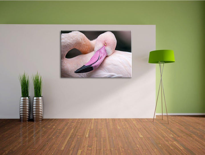 Pixxprint schöner Flamingo auf Leinwand, XXL riesige Bilder fertig gerahmt mit Keilrahmen, Kunstdruc