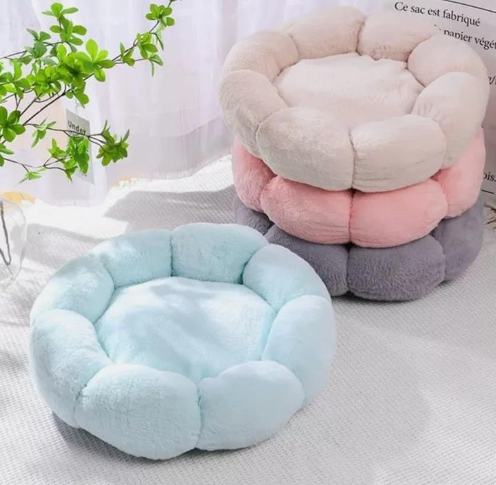 Hundebett Katzenbett 50 cm Waschbar flauschig orthopädische Hundebetten grosse und kleine Hunde Katz