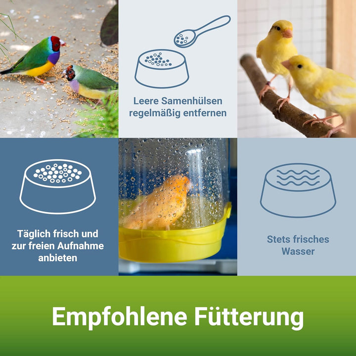 PANTO® Ziervogelfutter, Kanarienfutter 25 kg, 1er Pack (1 x 25 kg) 25 kg (1er Pack), 25 kg (1er Pack