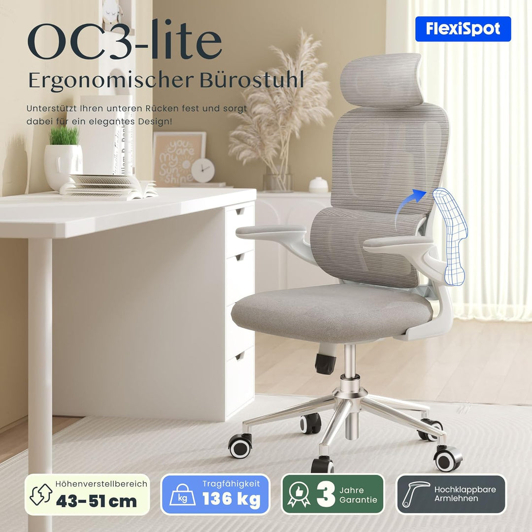 FLEXISPOT Ergonomischer Bürostuhl, Schreibtischstuhl mit 2D-Kopfstütze, Klappbare Armlehnen & Dynami
