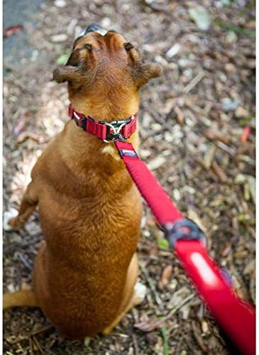 EzyDog Hundeleine für Grosse, Mittelgrosse Hunde - Elastische Leine mit Bungee Ruckdämpfer - 'Zero S