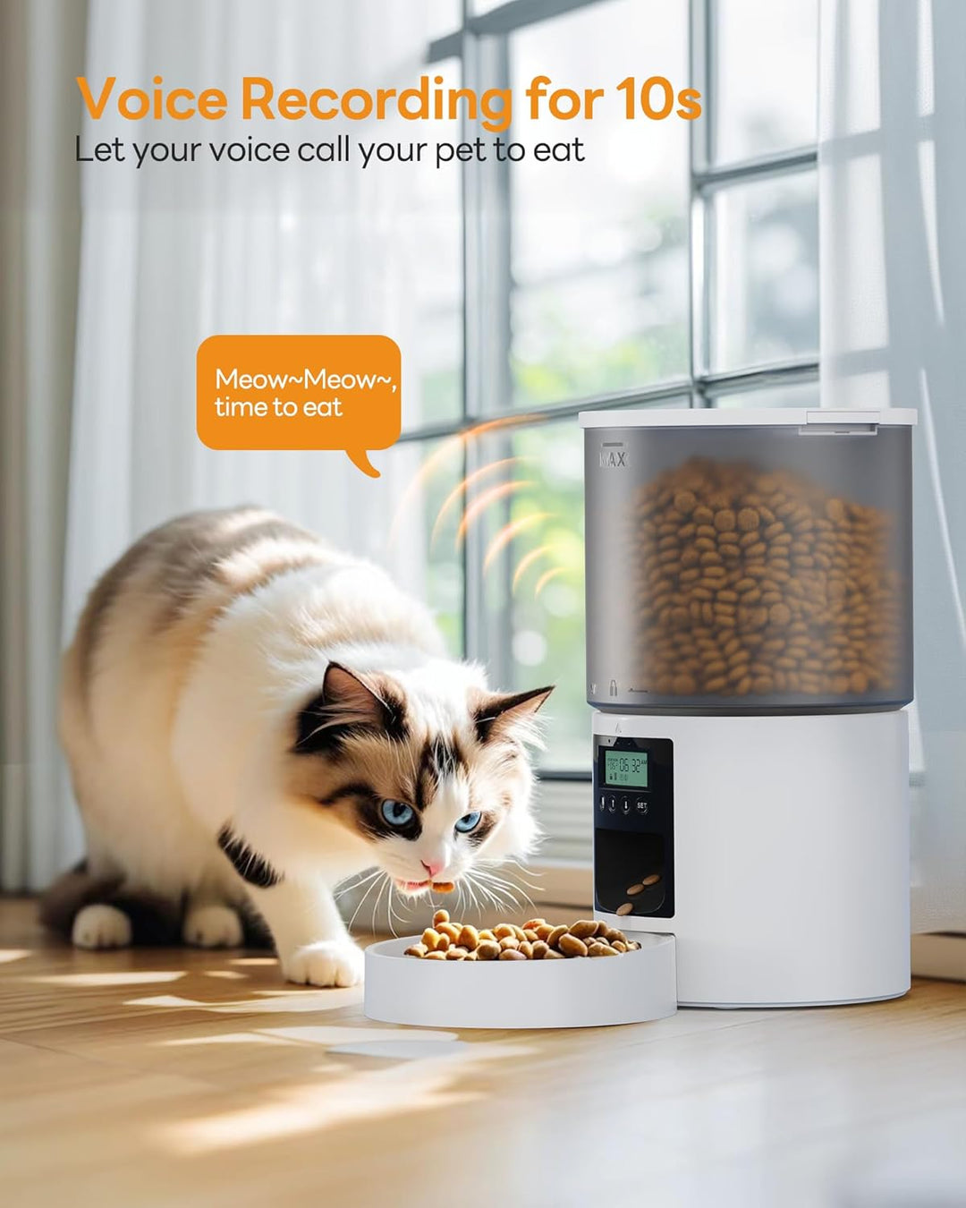 Futterautomat Katze Katzenfutter Automat mit Timer: Futternapf mit Automatic Futterautomat 4L - 10s-