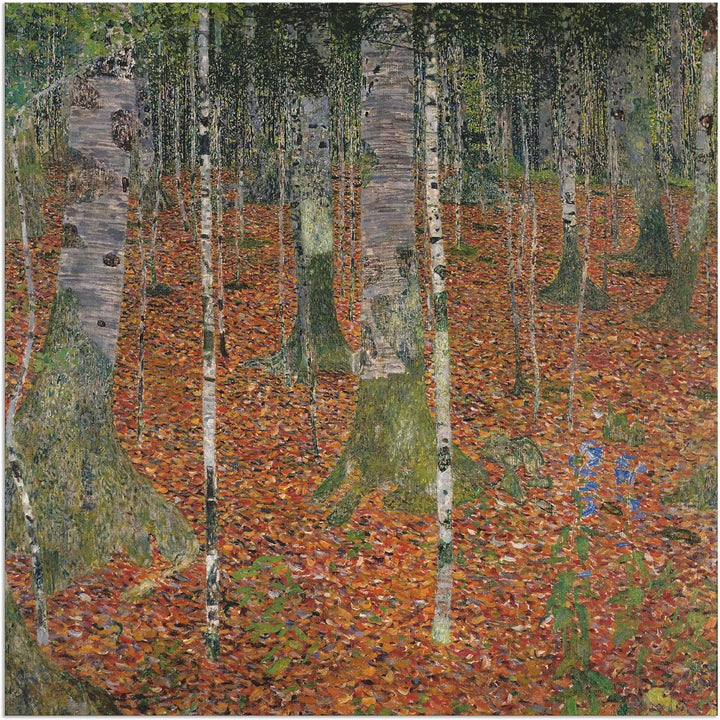 ARTland Wandbild Alu Verbundplatte für Innen & Outdoor Bild 50x50 cm Landschaften Wald Bäume Birke B
