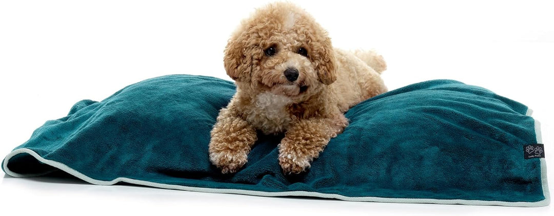 Lucky Paws® Hundehandtuch - luxuriöse 600g/m, 140x80cm XL Hundehandtuch extra saugfähig - trocknet s