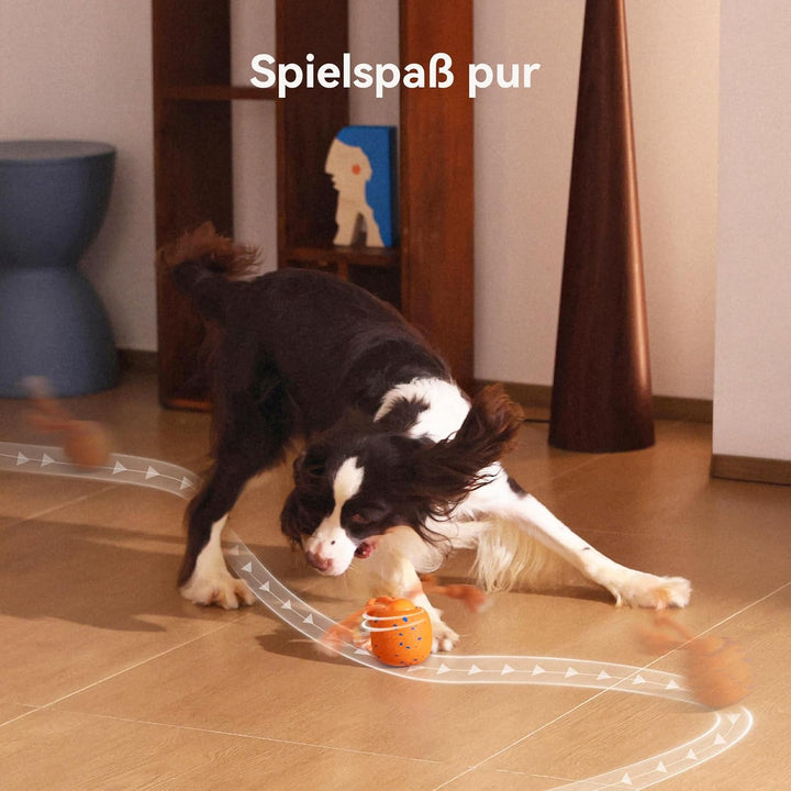 Cheerble Wicked Ball Rolly, interaktiver Hundeball mit Seil &amp; Bellen Orange | Selbstrollendes Hundes
