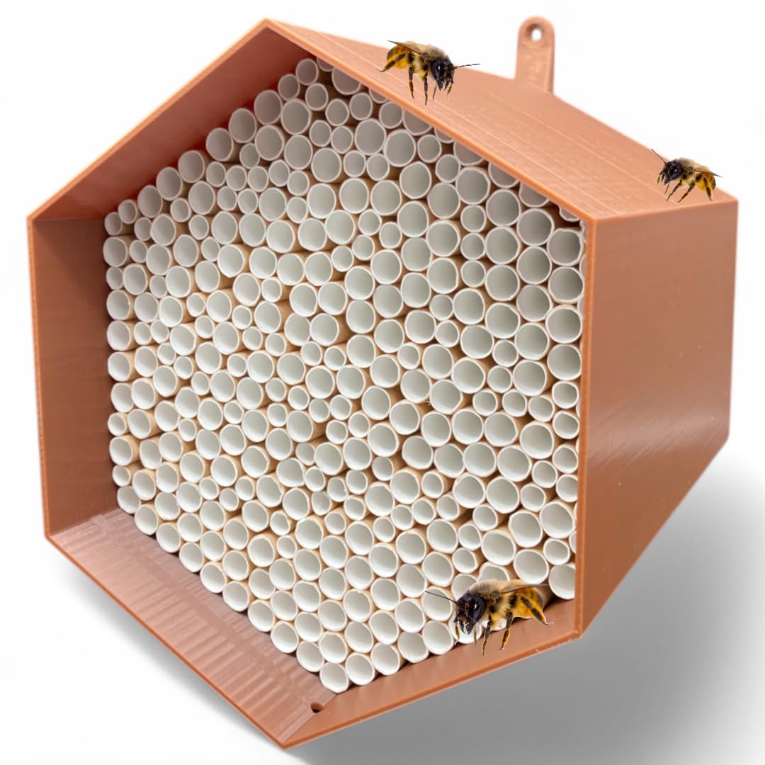 Wildbienen-Nisthilfe – absolut haltbar & wetterfest. Insektenhotel mit 300 Nisthülsen. Hochwertiges