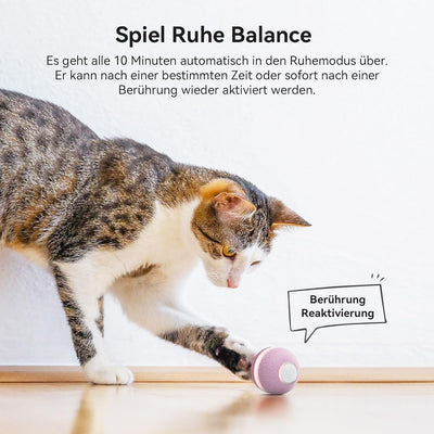 Cheerble 3 Interaktive Modi Interaktives Katzenspielzeug Selbstbeschäftigung, Automatisches Katzensp