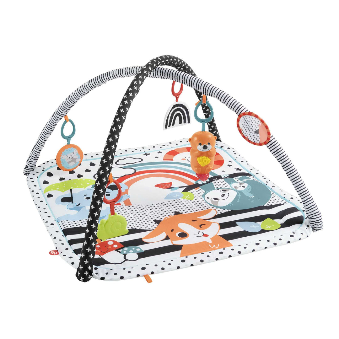 Fisher-Price Tierfreunde Kontrast-Spieldecke | Spielbogen Baby Spielzeug mit Musik und Licht | Krabb