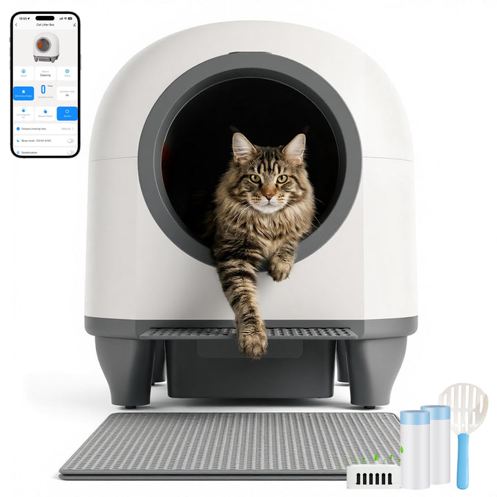 JUMMICO Selbstreinigende Katzentoilette, 90 Liter,XXL katzenklo selbstreinigend, APP-gesteuert, Deso