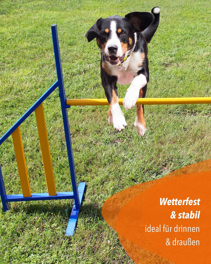Agility-Hürde aus Metall – Sprunghürde – Agility-Training für Hunde – mit Einer Querstange 120 cm