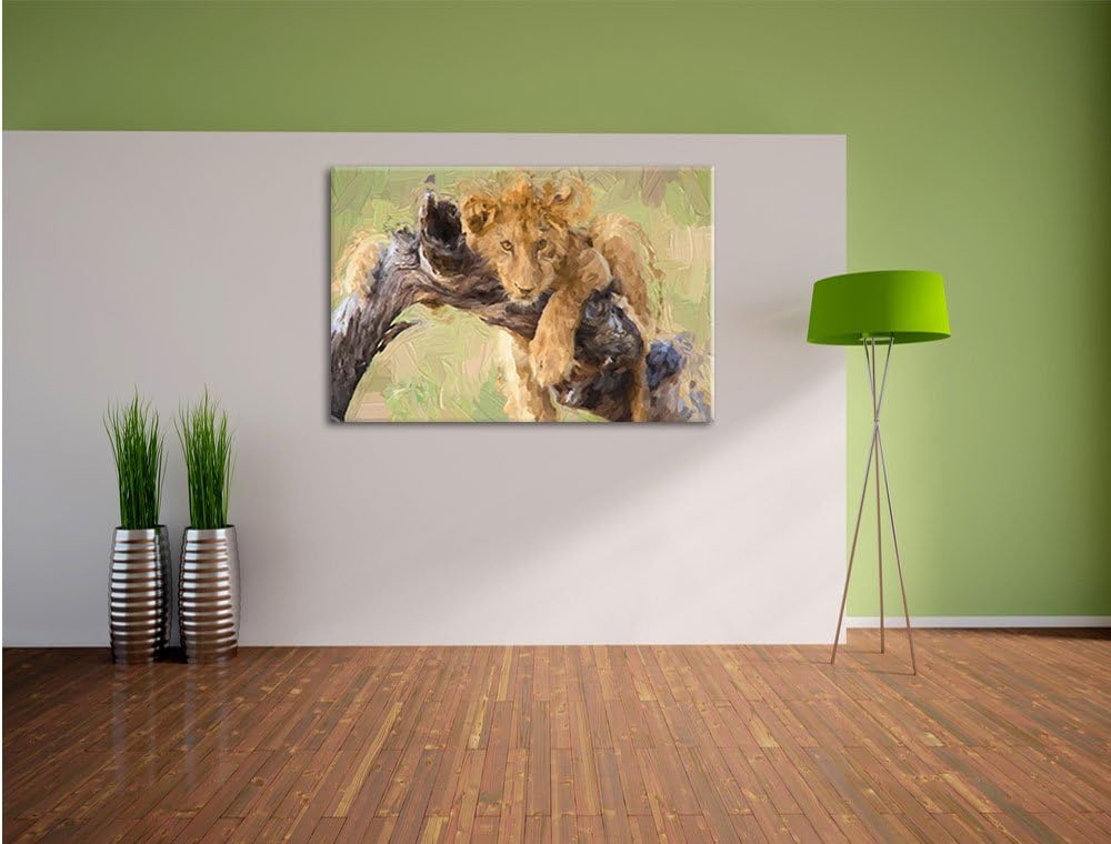 Pixxprint Junger Löwe in der Natur Kunst / 100x70cm Leinwandbild bespannt auf Holzrahmen/Wandbild Ku