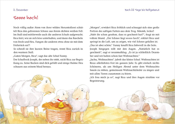 Rica sucht das Christkind: Ein Adventskalender zum Vorlesen und Gestalten eines Fensterbildes (Adven
