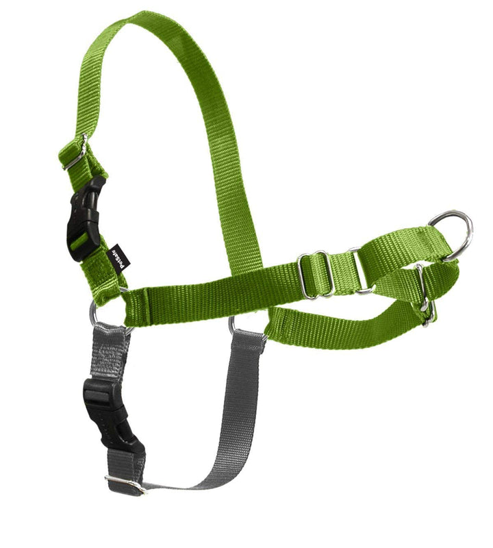 PetSafe Easy Walk Hundegeschirr. Apfelgrün/Grau Large, Apfelgrün/Grau Large