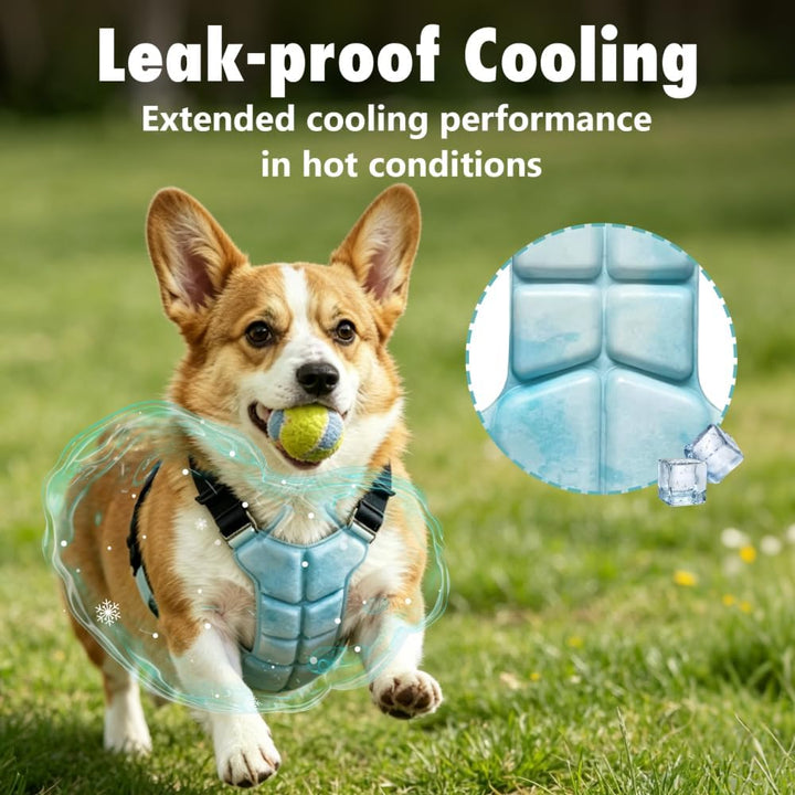 Hundekühlweste PCM Kühlgeschirr, Sommer Kühlmantel für Hunde, Atmungsaktive Kühlkleidung für Outdoor