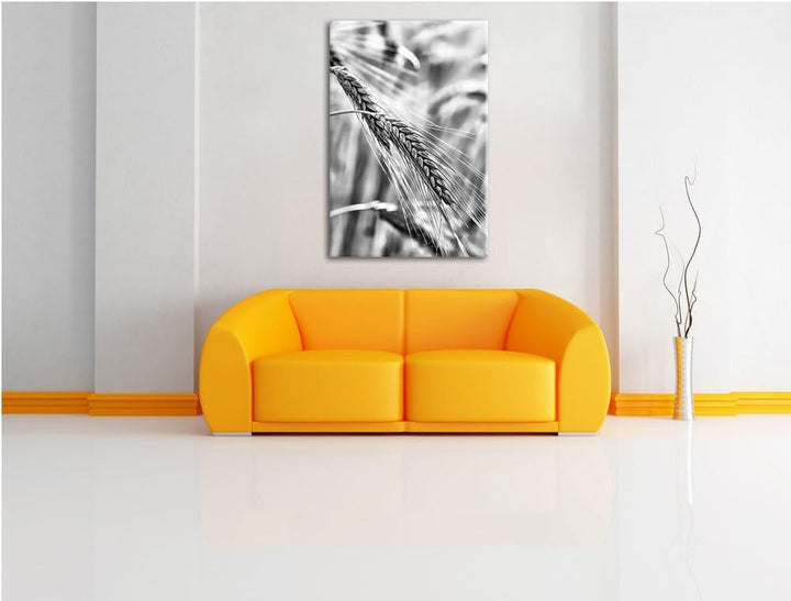 Pixxprint Weizen auf dem Feld als Leinwandbild | Grösse: 100x70 cm | Wandbild | Kunstdruck | fertig