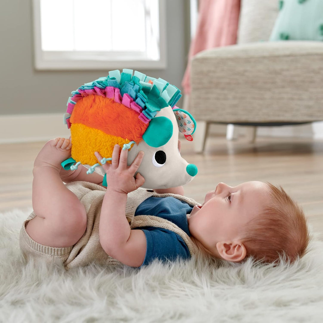 Fisher-Price HBP42 - Knuddel-Igel, Plüschspielzeug mit Geräuschen und Texturen, Babyspielzeug ab der