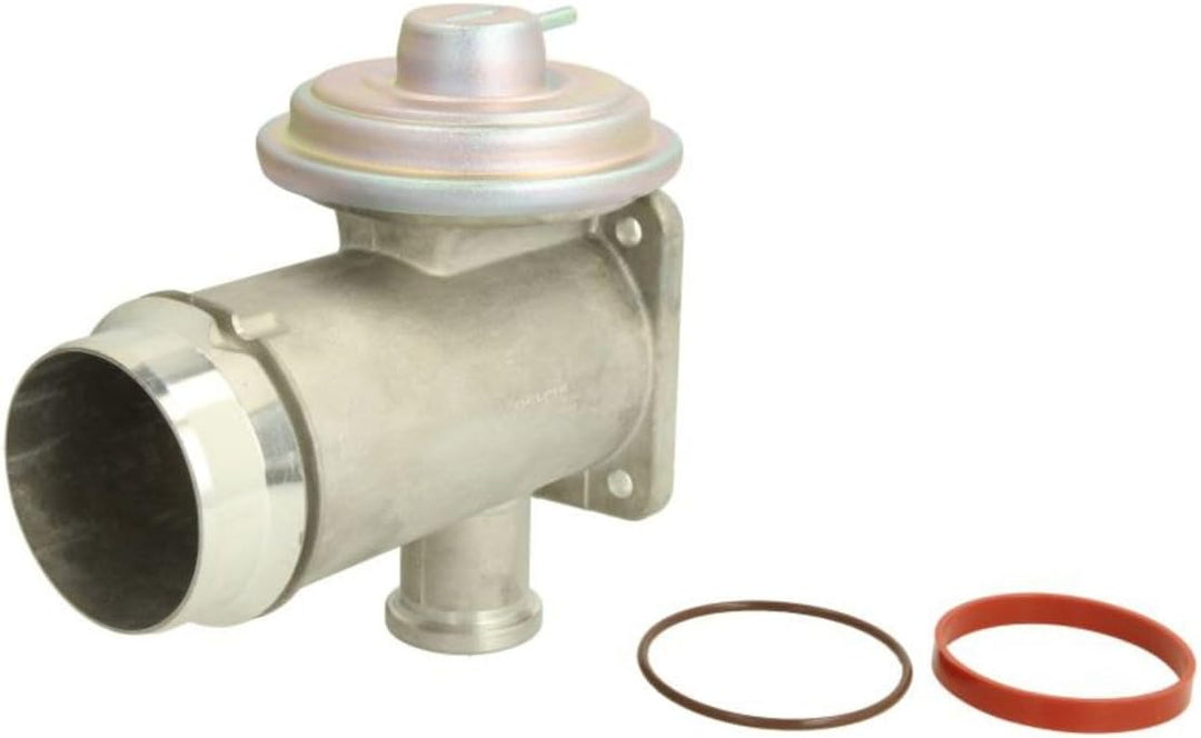Delphi EG10466-12B1 - AGR-Ventil