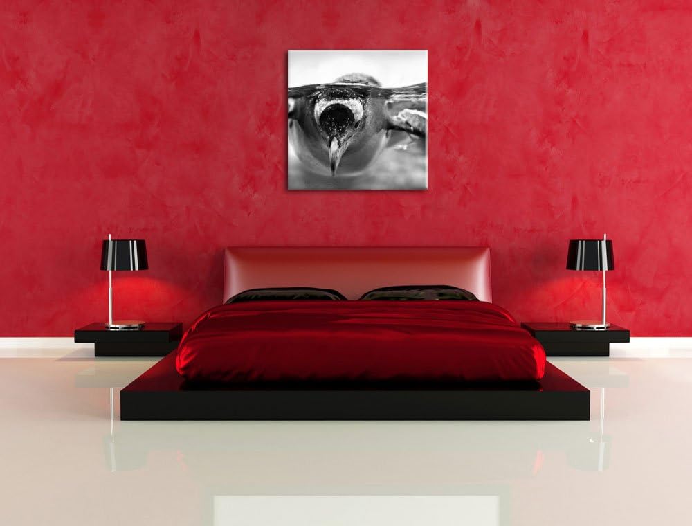 Pinguin im Wasser als Leinwandbild/Grösse: 70x70 cm/Wandbild/Kunstdruck/fertig bespannt, 70x70