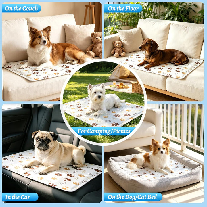 Kühlmatte für Hunde &amp; Katzen Faltbare, Kühlmatte Hund 50 x 40 cm, Kühldecke für Haustiere Leicht Rei