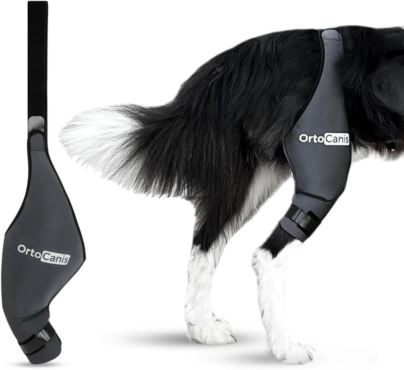 Ortocanis - Kniebandage Hund Hinterbein für das Linke Bein - Hergestellt aus Neopren ARD - Bei Kreuz