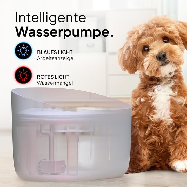 Pretty PAW® Trinkbrunnen für Hunde I Super leiser Hunde Trinkbrunnen mit 7 Liter Wassertank I BPA-fr