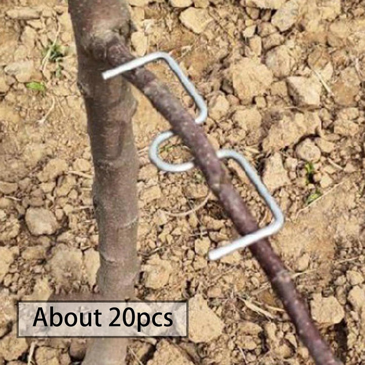 Colcolo Astzieher Halter für Obstzweige, Astfixierer Zweigspreize für Gartenbäume, Pflanzenstütze fü