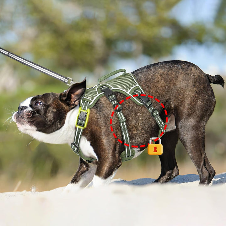 HEELE Hundegeschirr, Ausbruchsicher, Schnalle im Halsbereich, Reflektierend, Brustgeschirr mit Robus