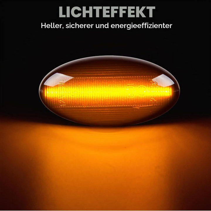 2 Stück LED Blinker Seitenblinker für Peugeot 1007 107 206 207 307 407 607 Partner Expert Citroen C1