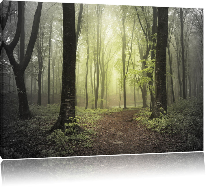 Pixxprint Weg im Wald als Leinwandbild/Grösse: 100x70 / Wandbild/Kunstdruck/fertig bespannt, 100x70