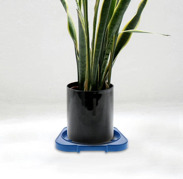 Zerodeko Mobiler Gasflaschenständer Mit Rollen Verdickte Bodenwanne Für 11Kg Propangas Flaschen Robu