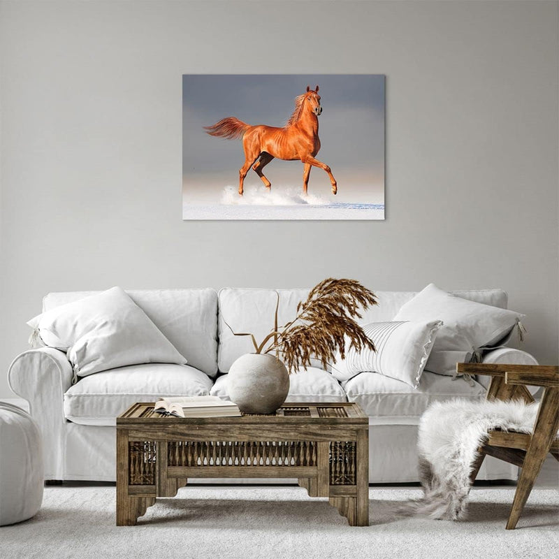 Bilder auf Leinwand Tiere Pferd Galopp Geschwindigkeit Leinwandbild 70x50cm Wandbilder Dekoration Wo