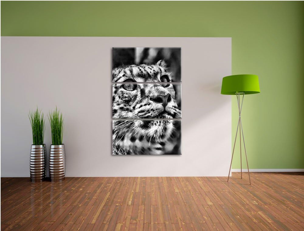Pixxprint Leopard als Leinwandbild/Grösse: 3 Teilig (120x80) cm/Wandbild/Kunstdruck/fertig bespannt
