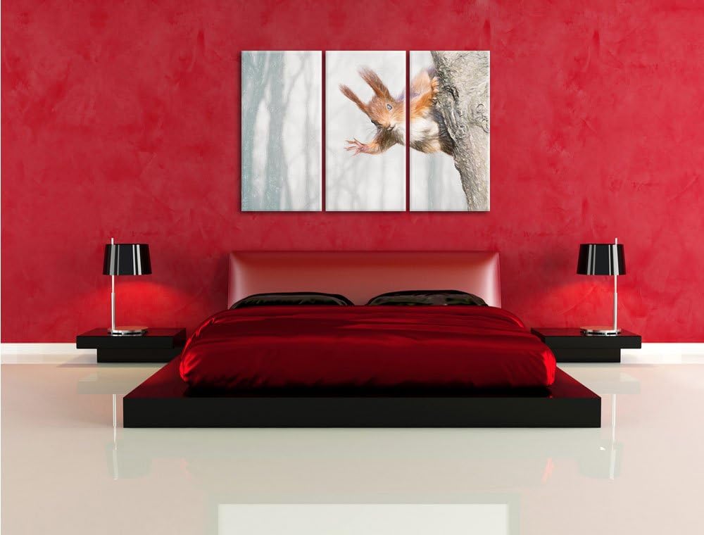Pixxprint Neugierig rotes Eichhörnchen / 3-Teilig/Gesamtmass 120cm Leinwandbild bespannt auf Holzrah