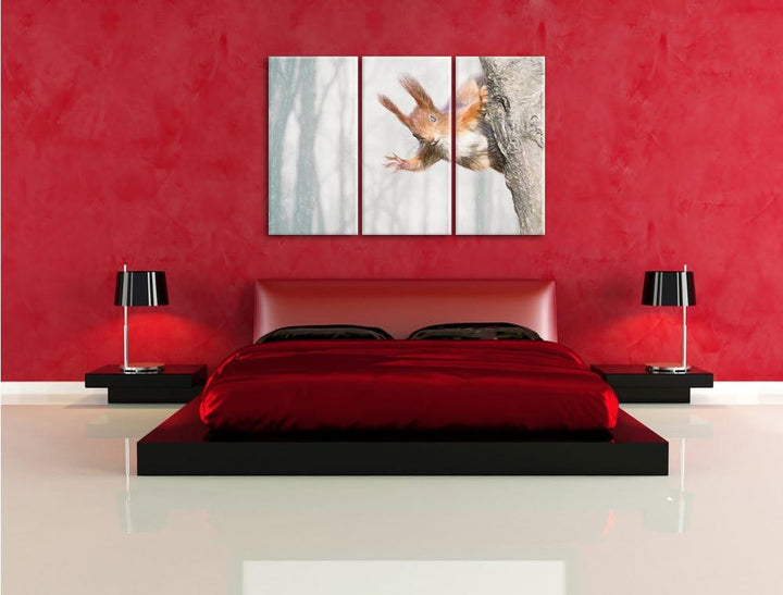 Pixxprint Neugierig rotes Eichhörnchen / 3-Teilig/Gesamtmass 120cm Leinwandbild bespannt auf Holzrah