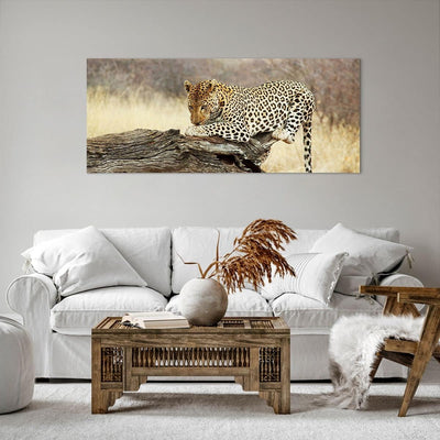 Wandbilder Dekoration Wohnzimmer Afrika Leopard Katze Safari Panorama Bilder auf Leinwand 120x50cm L