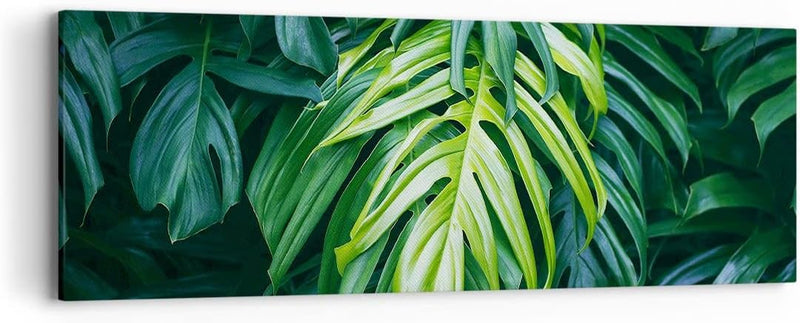 Panorama Bilder auf Leinwand Blume Natur Leinwandbild mit Rahmen 90x30cm Wandbilder Dekoration Wohnz