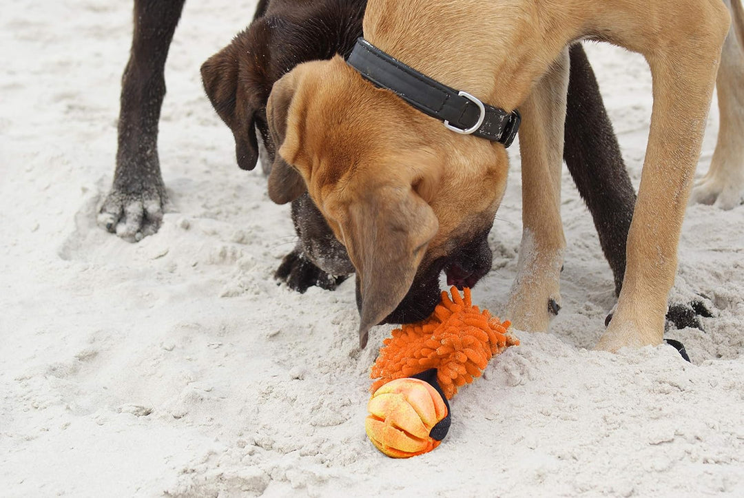 Dingo Mop Bungee Orange Mikrofaser mit Vanille Duft Ball Hundespielzeug Agility Apporte zum Spielen